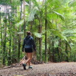 Airlie Beach: Waterfall & Bushwalk Eco Adventure Whitsundays - Value and Practical Details