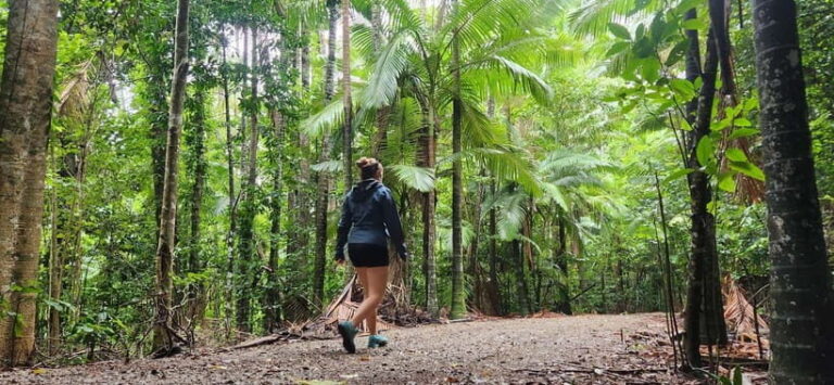 Airlie Beach: Waterfall & Bushwalk Eco Adventure Whitsundays - Value and Practical Details