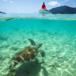 Airlie Beach: Whitehaven Full-Day Eco-Cruise with Buffet - Whitehaven Beach and the Hill Inlet Lookout: The Iconic Swirling Sands