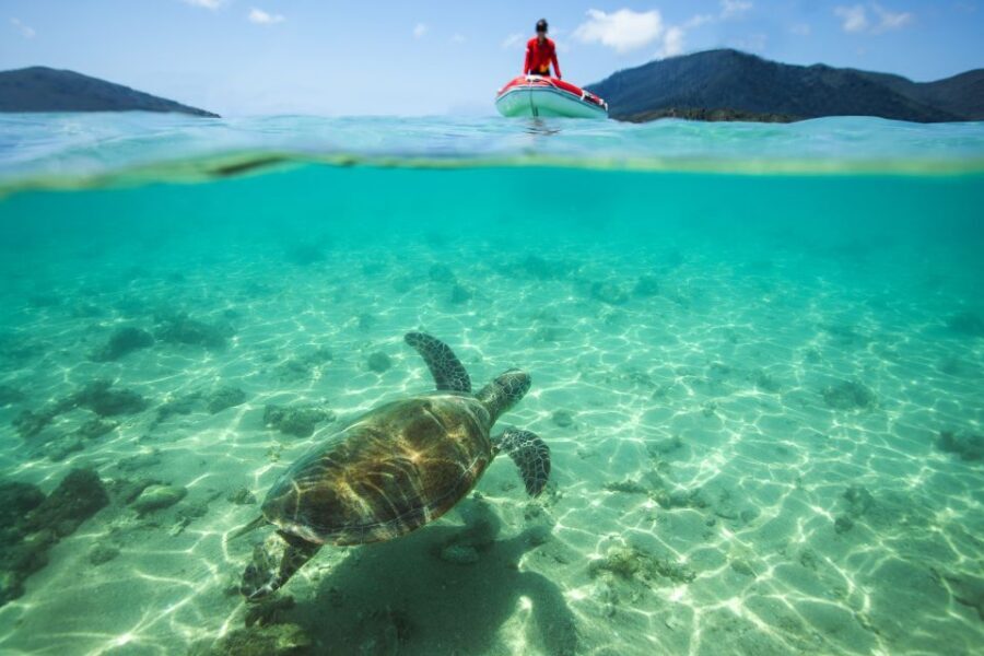Airlie Beach: Whitehaven Full-Day Eco-Cruise with Buffet - Whitehaven Beach and the Hill Inlet Lookout: The Iconic Swirling Sands