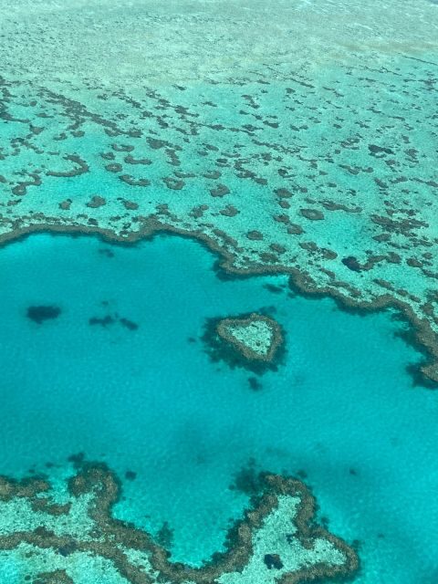 Airlie Beach: Whitsundays & Great Barrier Reef Scenic Flight - An In-Depth Look at the Scenic Flight Experience