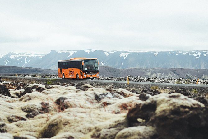 Airport Transfer in Iceland from Keflavik Airport to Reykjavik City With Hotel Drop Off - Who Will Love This Transfer?
