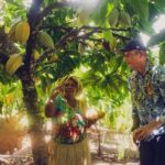 Airport Transfers from Honiara International Airport to Hotel - Final Thoughts