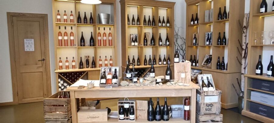 Aix-en-Provence: Avignon Tour & Chateauneuf-du-Pape Tasting - The Itinerary: A Day in Provence’s Historic Heart and Vineyards