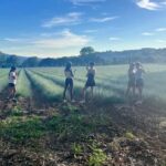 Aix-en-Provence: E-Bike Tour of Mount Sainte-Victoire - Practical Details