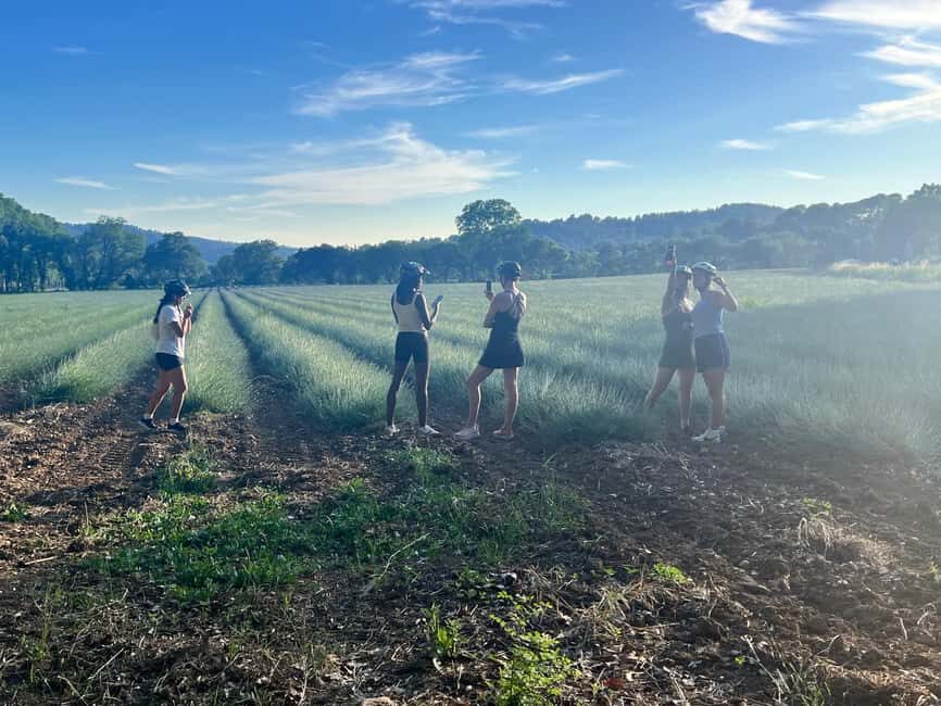 Aix-en-Provence: E-Bike Tour of Mount Sainte-Victoire - Practical Details