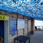Ajaccio: Beginner's Scuba Dive with Experienced Instructor - Final Thoughts: Balancing Adventure and Authenticity