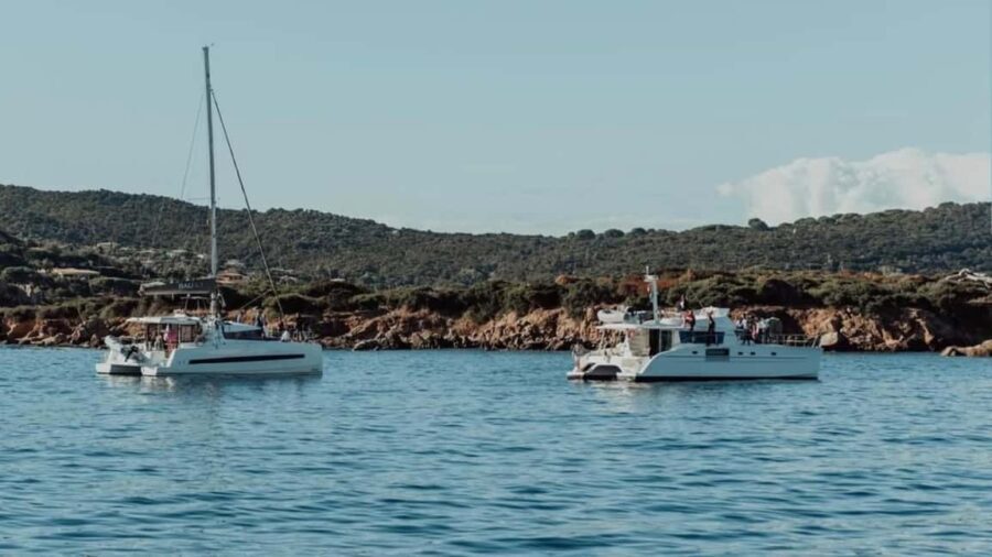 Ajaccio: Full-Day Private Catamaran Tour with Chez Francis - Practical Considerations and Tips