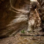 Akamas Jeep Safari Tour from Paphos - An In-Depth Look at the Akamas Jeep Safari