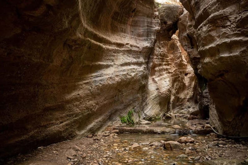 Akamas Jeep Safari Tour from Paphos - An In-Depth Look at the Akamas Jeep Safari