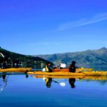 Akaroa: Akaroa Marine Reserve Sea Kayaking Tour - The Sum Up