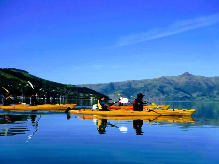 Akaroa: Akaroa Marine Reserve Sea Kayaking Tour - The Sum Up
