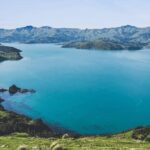 Akaroa and Akaroa Dolphins Day Tour - Final Thoughts: Who Will Love This Tour?