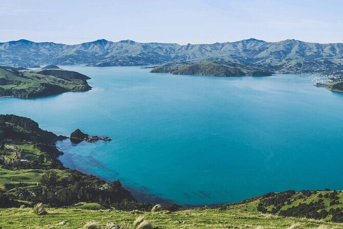 Akaroa and Akaroa Dolphins Day Tour - Final Thoughts: Who Will Love This Tour?