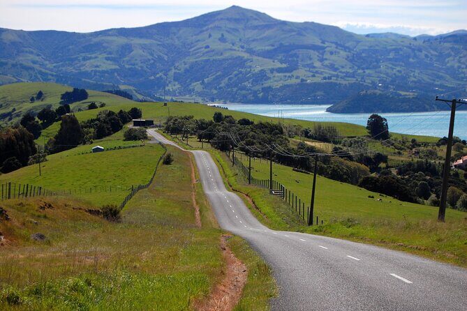 Akaroa & Banks Peninsula tour from Lyttelton (Shore Excursion) - What Our Reviewers Say