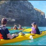 Akaroa Day Tour From Christchurch - A Thorough Look at What You’ll Experience