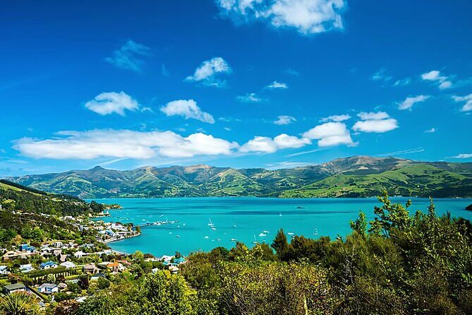 Akaroa Day Tour from christchurch Return - Who Will Love This Tour?