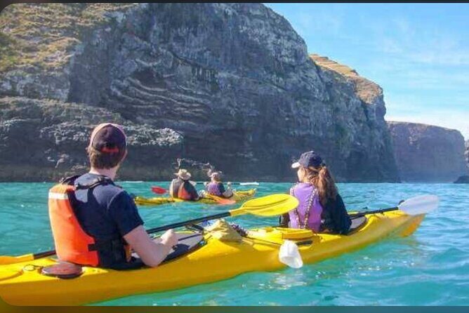 Akaroa Day Tour From Christchurch - A Thorough Look at What You’ll Experience