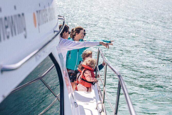 Akaroa Dolphins ~ Harbour Nature Cruise - Cost & Value: Is It Worth It?