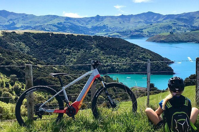 Akaroa Explorer- Guided Electric Bike Tour in Akaroa - Who Will Love This Experience?