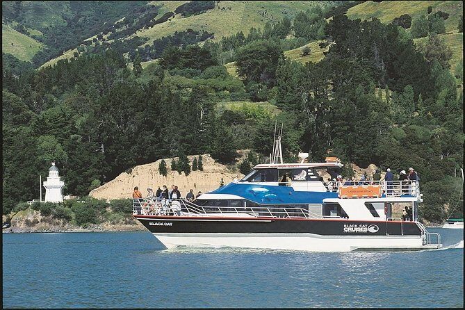 Akaroa Full Day Sightseeing Tour from Christchurch - The Sum Up