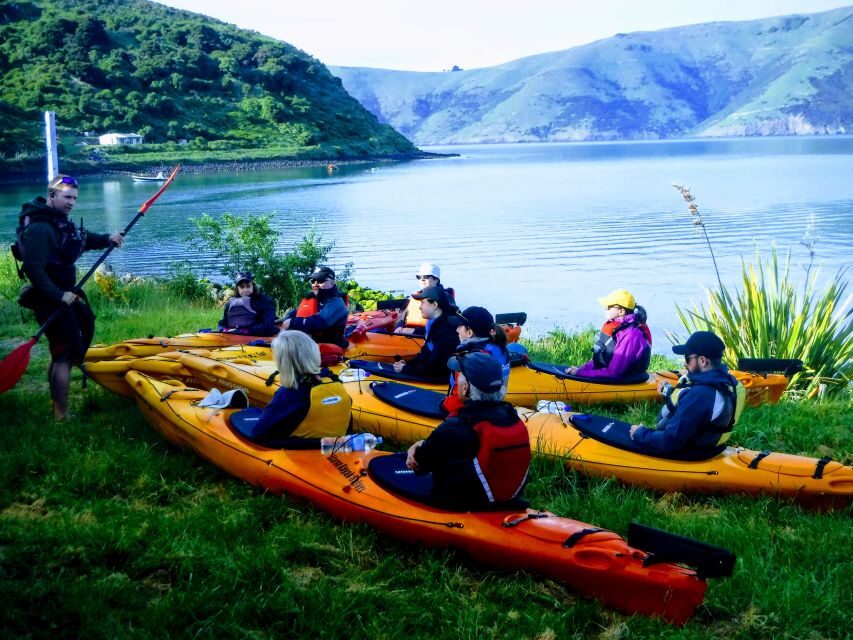 Akaroa: Guided Sunrise Sea Kayaking Tour - Who Will Love This Tour?
