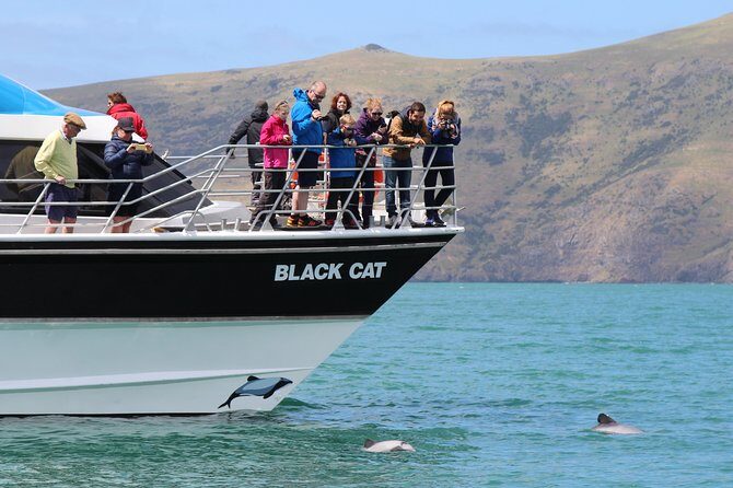Akaroa Harbour Nature Cruise - Who Should Book This Cruise?