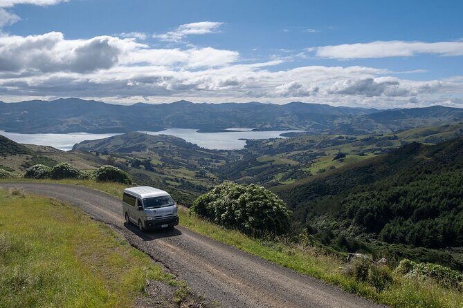 Akaroa Nature and History Tour - The 7th Generation - Unpacking the Experience: An In-Depth Look at the Akaroa Nature and History Tour
