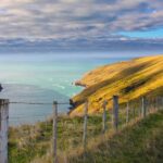 Akaroa: Pohatu Little Penguins 3-Hour Evening Experience - Who Will Love This Tour?