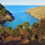 Akaroa: Pohatu Penguins Scenic Nature 2-Hour or 4-Hour Tour - Who Will Love This Tour?