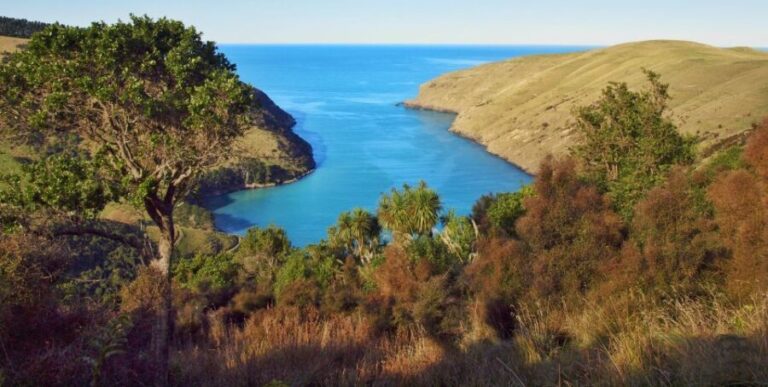Akaroa: Pohatu Penguins Scenic Nature 2-Hour or 4-Hour Tour - Who Will Love This Tour?