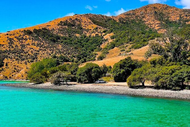 Akaroa Private Day Trip From Christchurch - Who Will Benefit Most from This Tour?