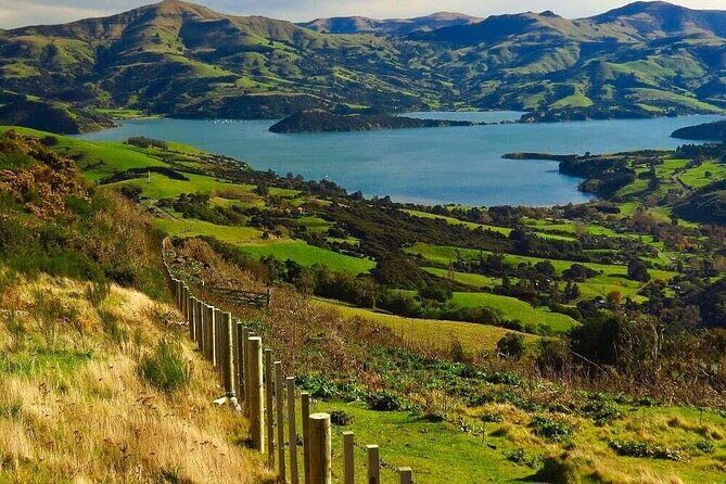 Akaroa Private Group Day Trip from Christchurch - The Value of This Tour