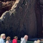 Akaroa: Scenic Coastline Wildlife Cruise - Final Thoughts: Who Should Consider This Tour?