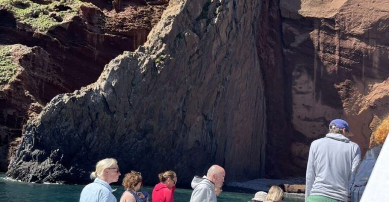 Akaroa: Scenic Coastline Wildlife Cruise - Final Thoughts: Who Should Consider This Tour?