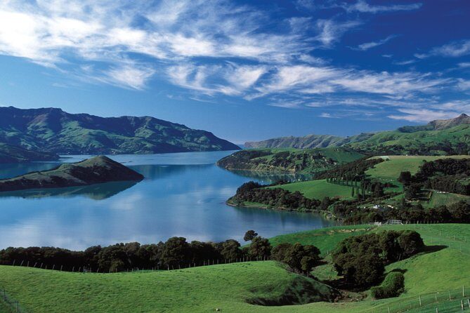 Akaroa Shore Excursion: Akaroa Harbour and Giants House Local Tour - Authenticity and Value: What Makes This Tour Stand Out