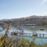 Akaroa Shore Excursion: Banks Peninsula, Christchurch City Tour and the International Antarctic Centre - Who Should Take This Tour?