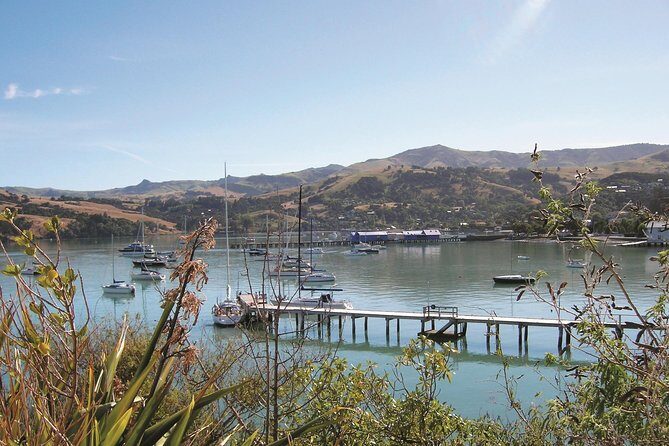 Akaroa Shore Excursion: Banks Peninsula, Christchurch City Tour and the International Antarctic Centre - Who Should Take This Tour?