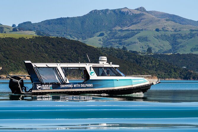 Akaroa Swim with Dolphins Tour from Christchurch - Akaroa Harbour and Marine Wildlife