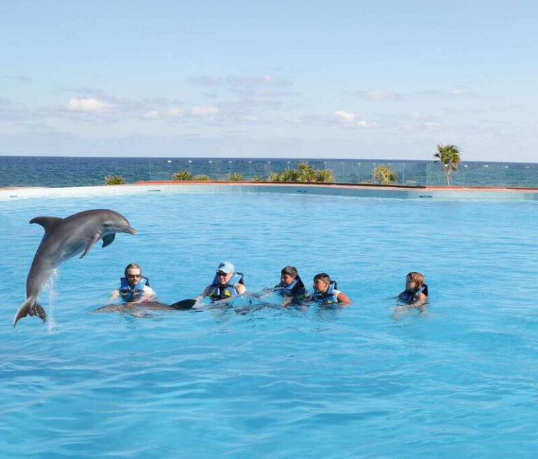Akumal: Dolphin Encounter - What’s Included and What’s Not