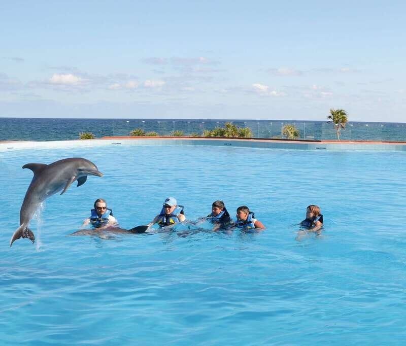 Akumal: Dolphin Encounter