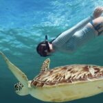 Akumal paradise tour Swimming with Turtles & ancient Tulum Ruins. Lunch included - Who Should Book This Tour?