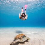 Akumal: Snorkeling Adventure with Turtles and Marine Life - Why This Tour Is Worth It