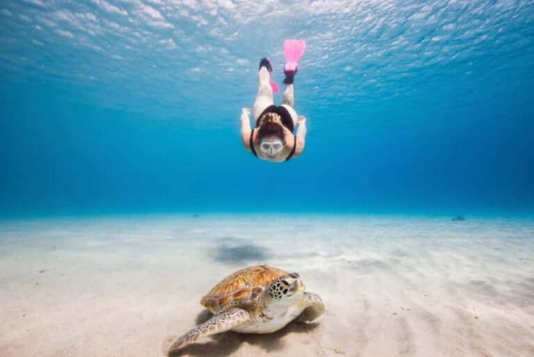 Akumal: Snorkeling Adventure with Turtles and Marine Life - Why This Tour Is Worth It