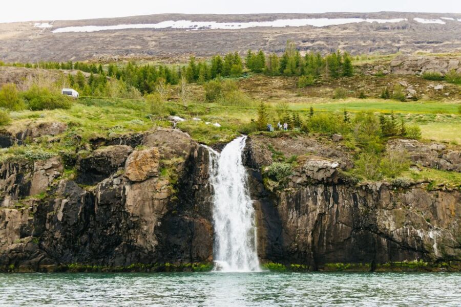 Akureyri: 3-Hour Classic Whale Watching Tour by Ship - Who Should Consider This Tour?