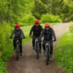 Akureyri: E-Bike Tour with Forest Lagoon Entry - Practical Details and Tips for Your Tour
