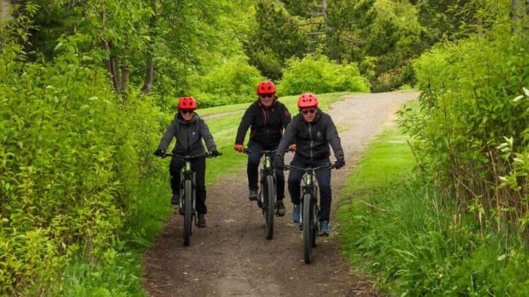 Akureyri: E-Bike Tour with Forest Lagoon Entry - Practical Details and Tips for Your Tour