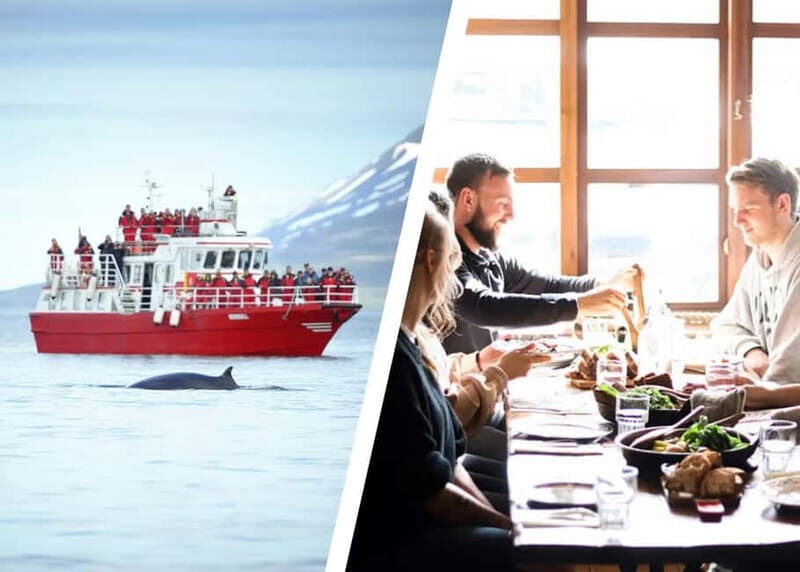 Akureyri: Food Walk and Whale Watching Tour - Practical Points for Travelers