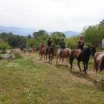 Alanya 3 Hour Horse Back Riding - The Value Proposition: Why This Tour Stands Out