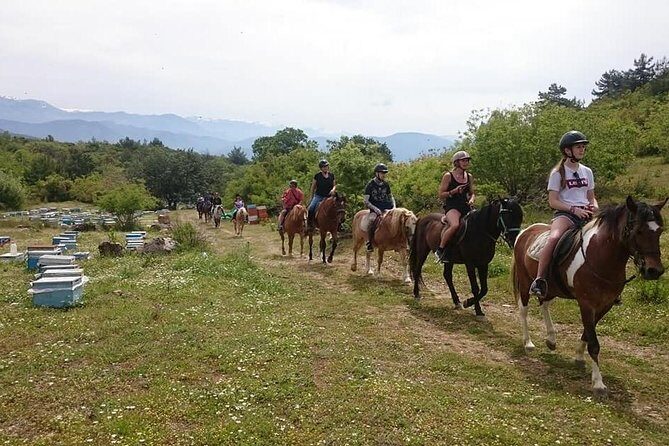 Alanya 3 Hour Horse Back Riding - The Value Proposition: Why This Tour Stands Out